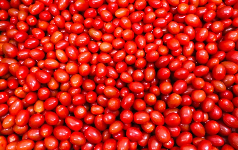 a bunch of tomatoes are laying around and being covered in red stuff