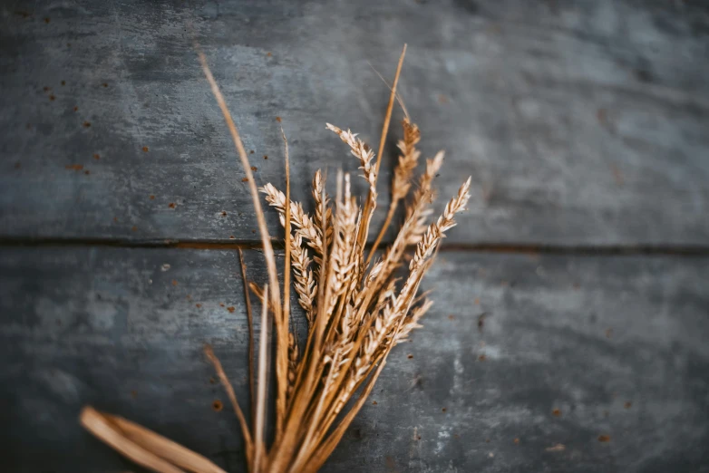 a bundle of dry plants sitting on top of a wooden floor