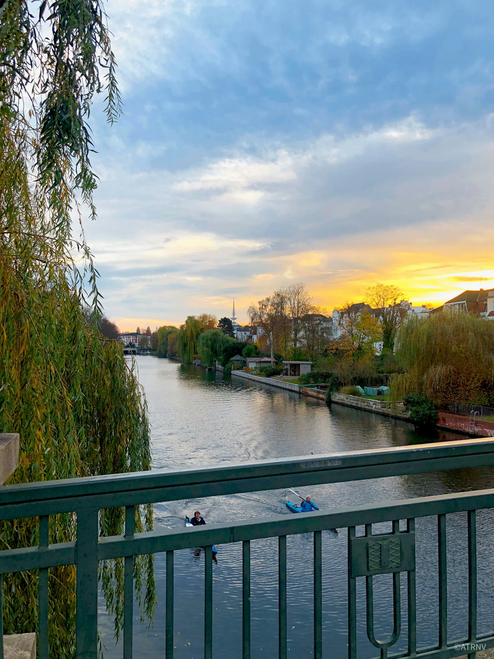 a view of a river next to some trees and houses