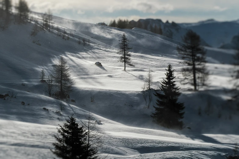 an empty slope with a number of trees on the hill