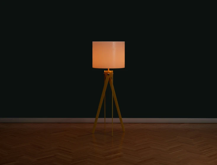 a small floor lamp is standing in a dark room