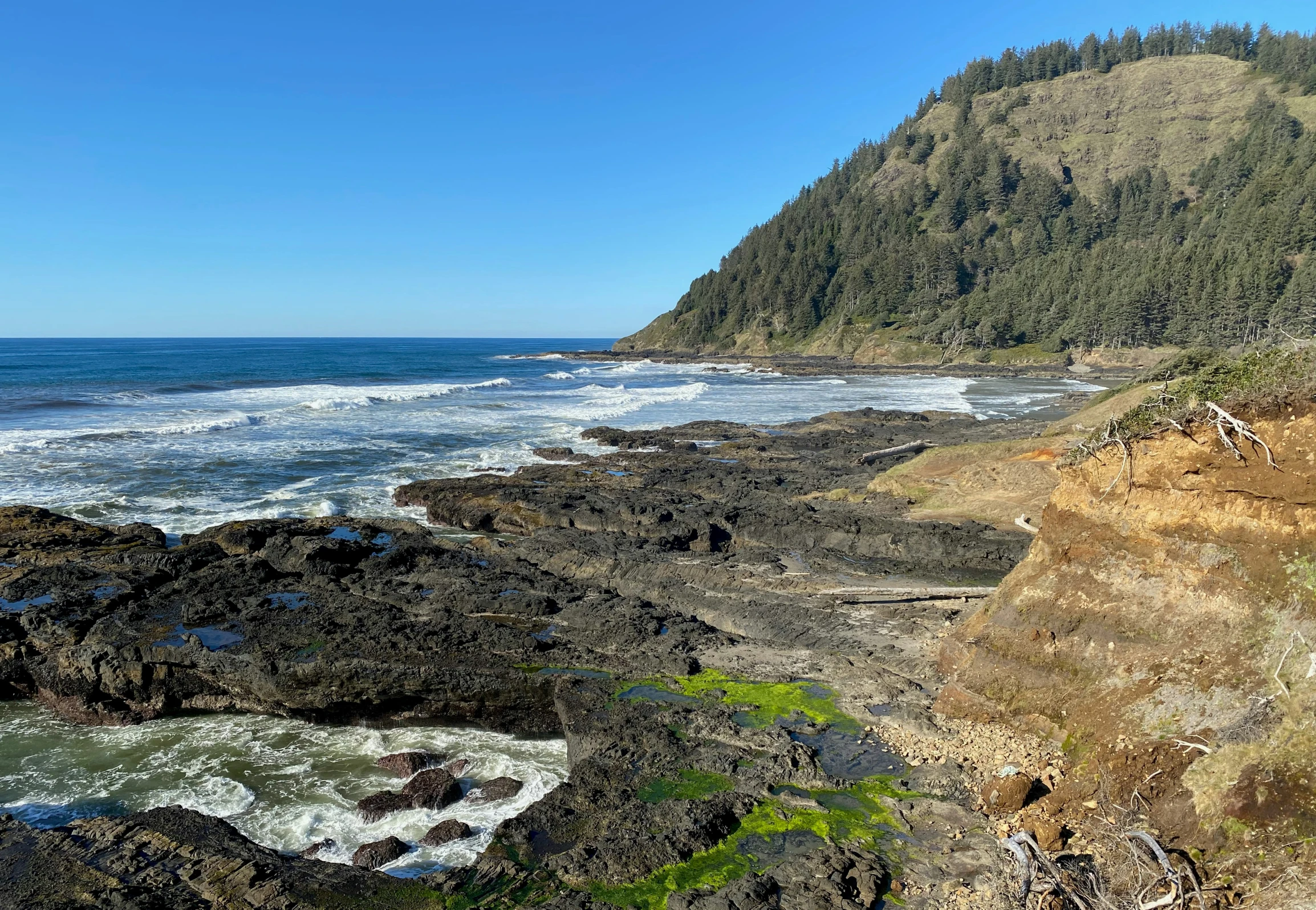 a rocky shoreline with waves crashing over a large tree covered hill