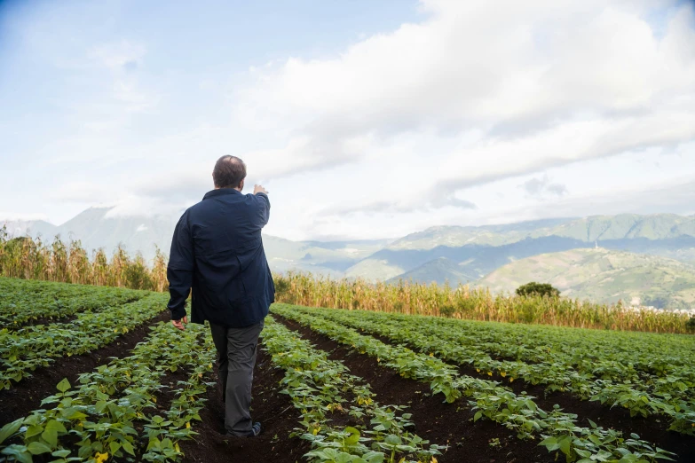 a man walking through a field with green plants