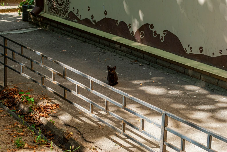 a cat sitting behind bars on a city sidewalk