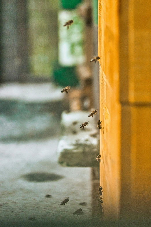 a group of birds flying above a street