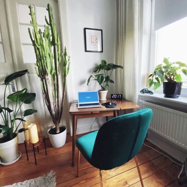 a room with various plants and decorations on the floor