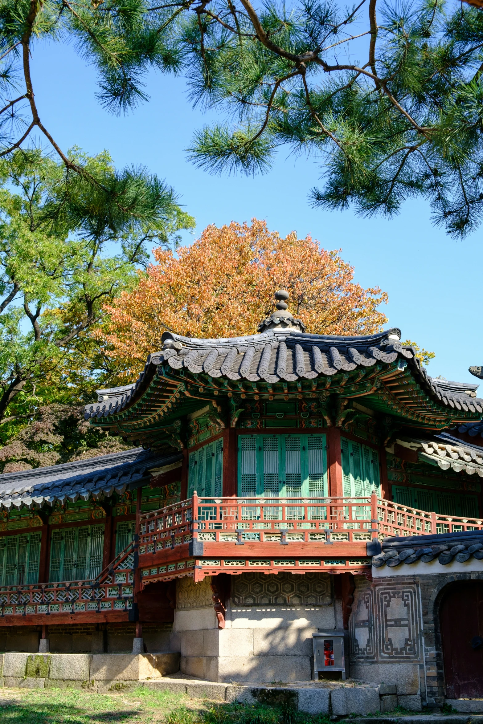 a building with windows and small balconys near trees