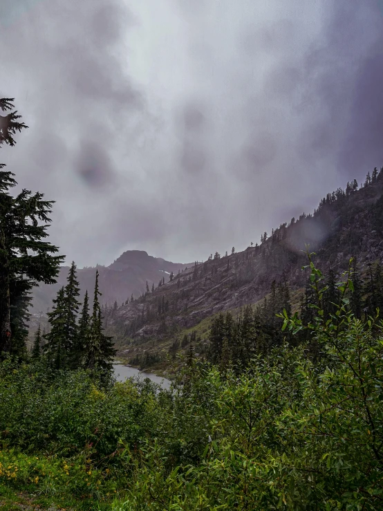 trees and bushes on the side of a large mountain