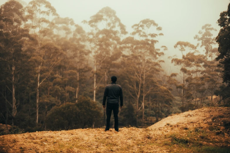 a man standing on a hill looking down at a forest