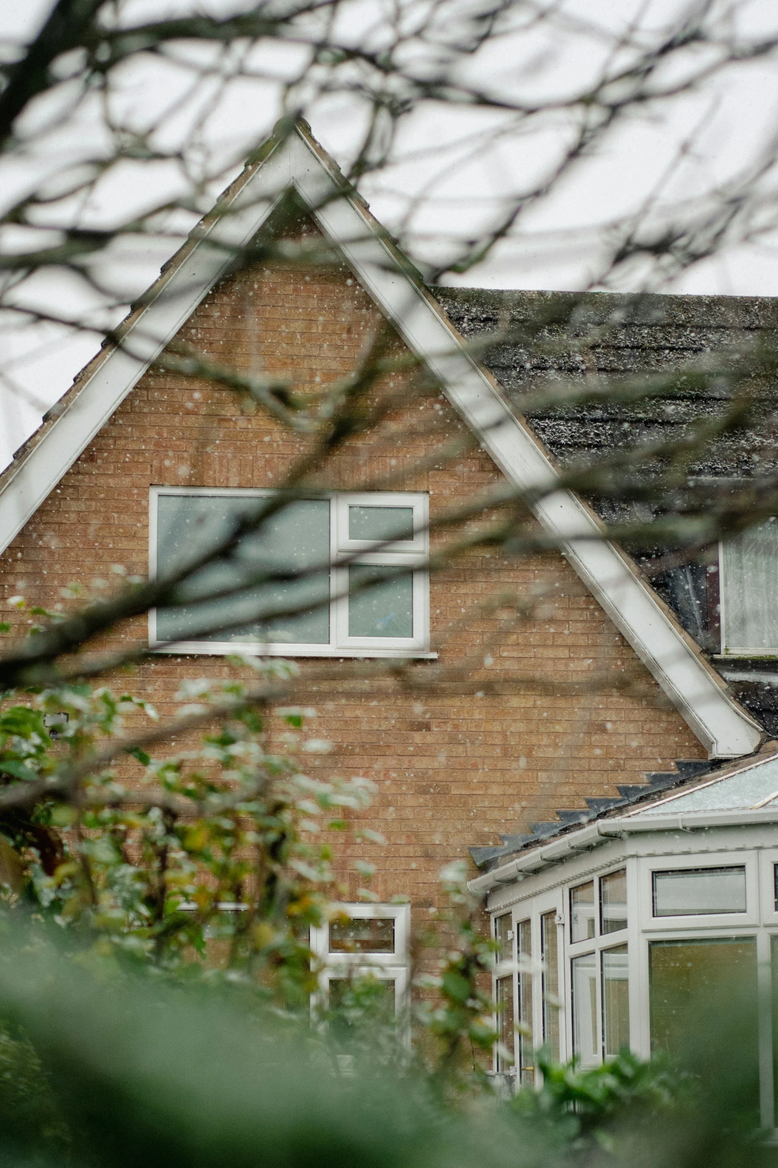 a house that is very close to some trees