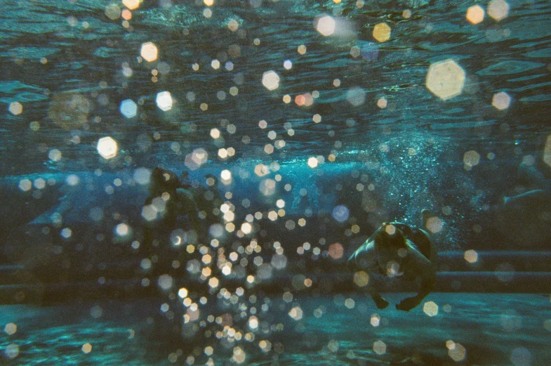 underwater diving diver in the blue waters with bubbles