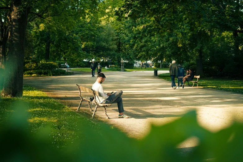 a young man is sitting on a bench on a park pathway