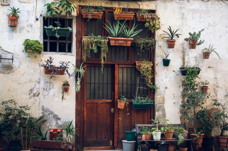 a building with many different kinds of plants