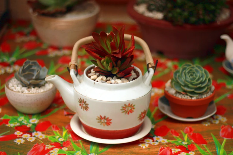 this image is of a small teapot and a potted plant