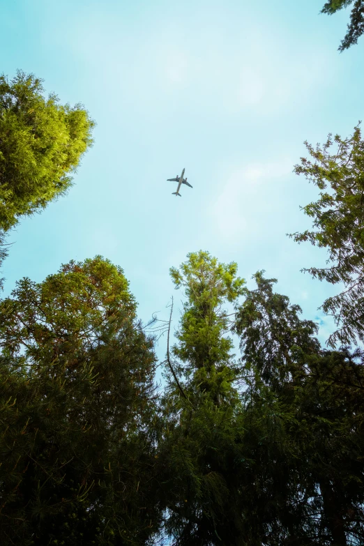 an airplane flies overhead as the sun begins to set