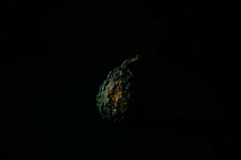 a fruit is shown in the dark and dim lighting