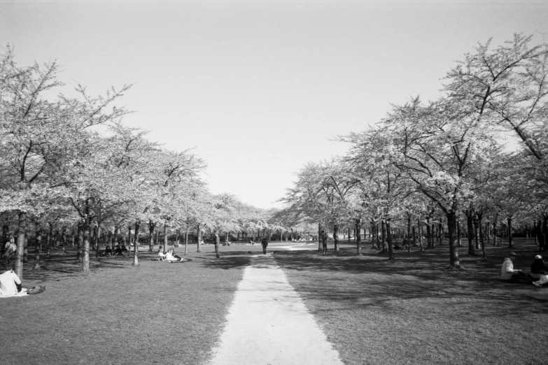 a black and white po of people relaxing in the park