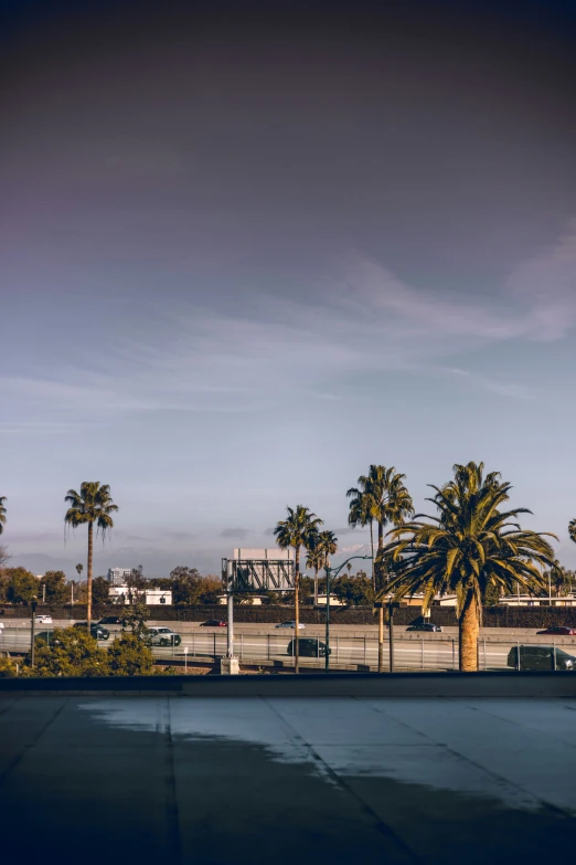 the sky is blue and a few palm trees