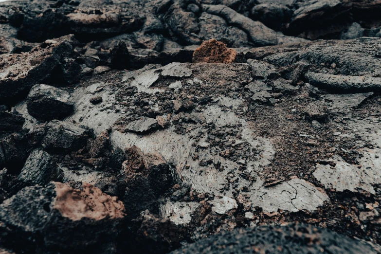 a rock with some kind of brown substance and rocks