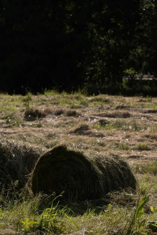 two hay balls are in the grass beside each other