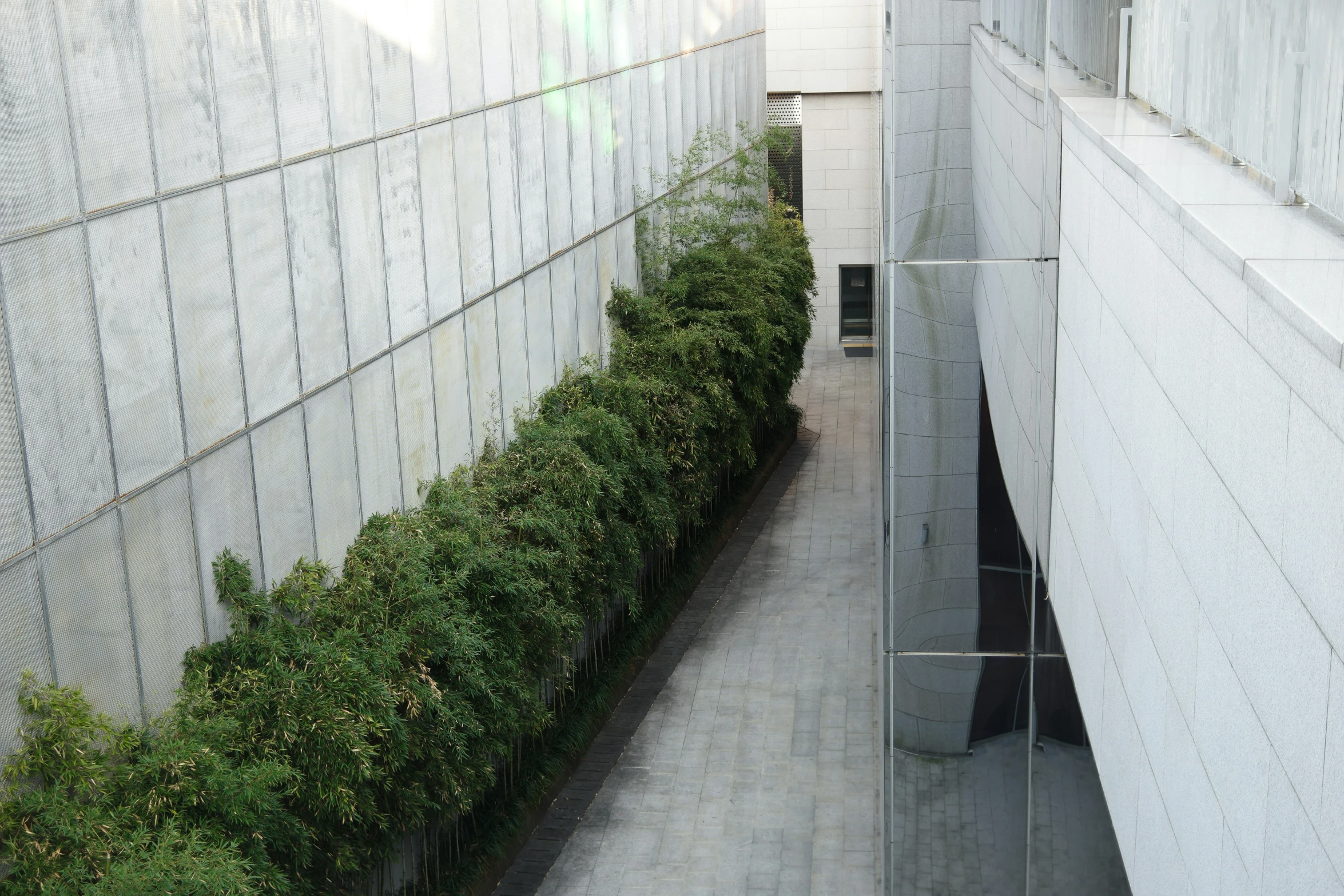 the view of a sidewalk that leads to two buildings