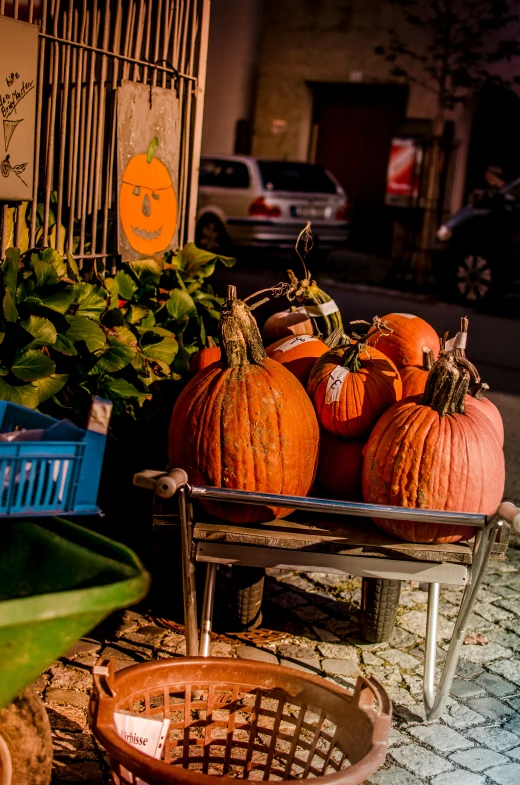 a bunch of pumpkins in a wooden basket sitting on the ground