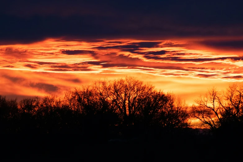 orange and blue colored clouds above the silhouette of trees