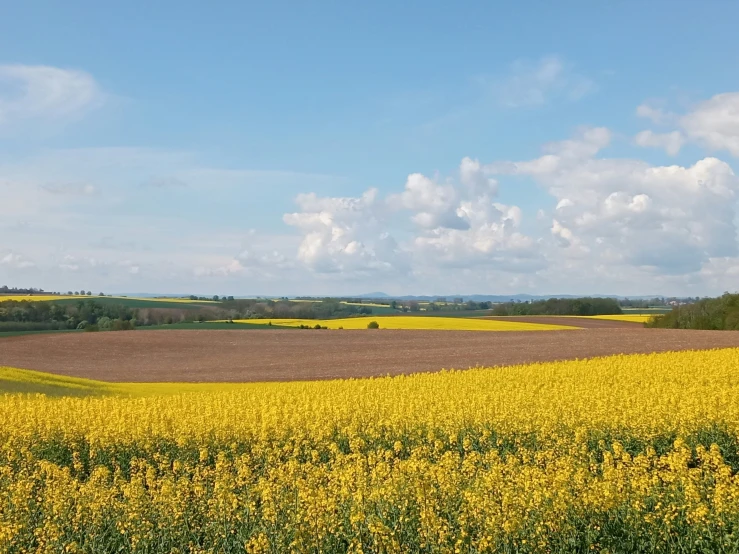 a field with several rolling hills in the background