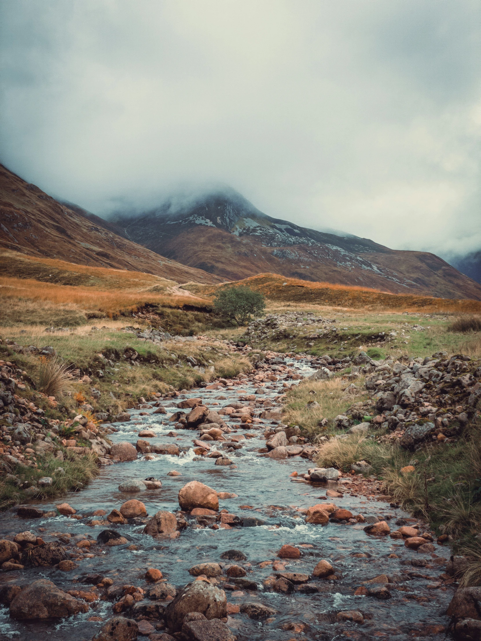 a creek that is in the grass by some mountains