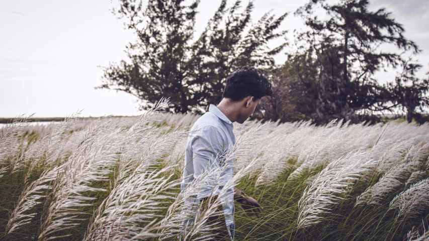 a man standing in tall grass looking back