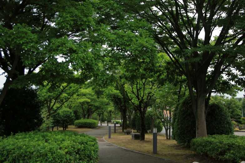 a couple of benches that are sitting under some trees