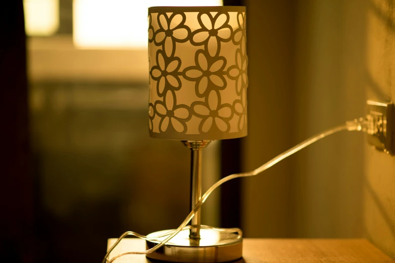 the lamp shade is on and is plugged in