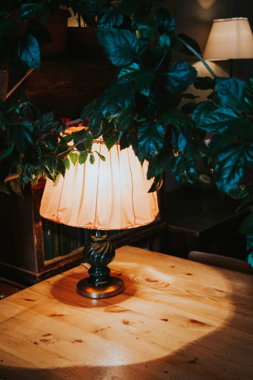 a wooden table topped with a lamp and a tree