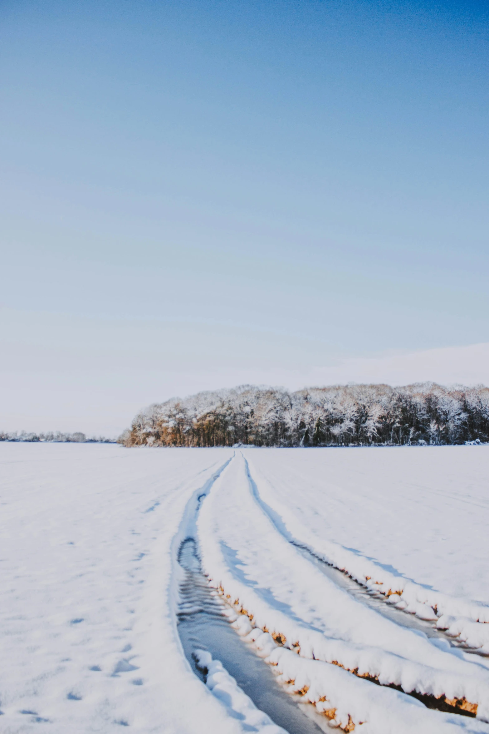 there is snow in the ground and tracks