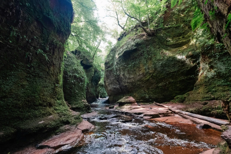 a mountain stream flows through a narrow canyon