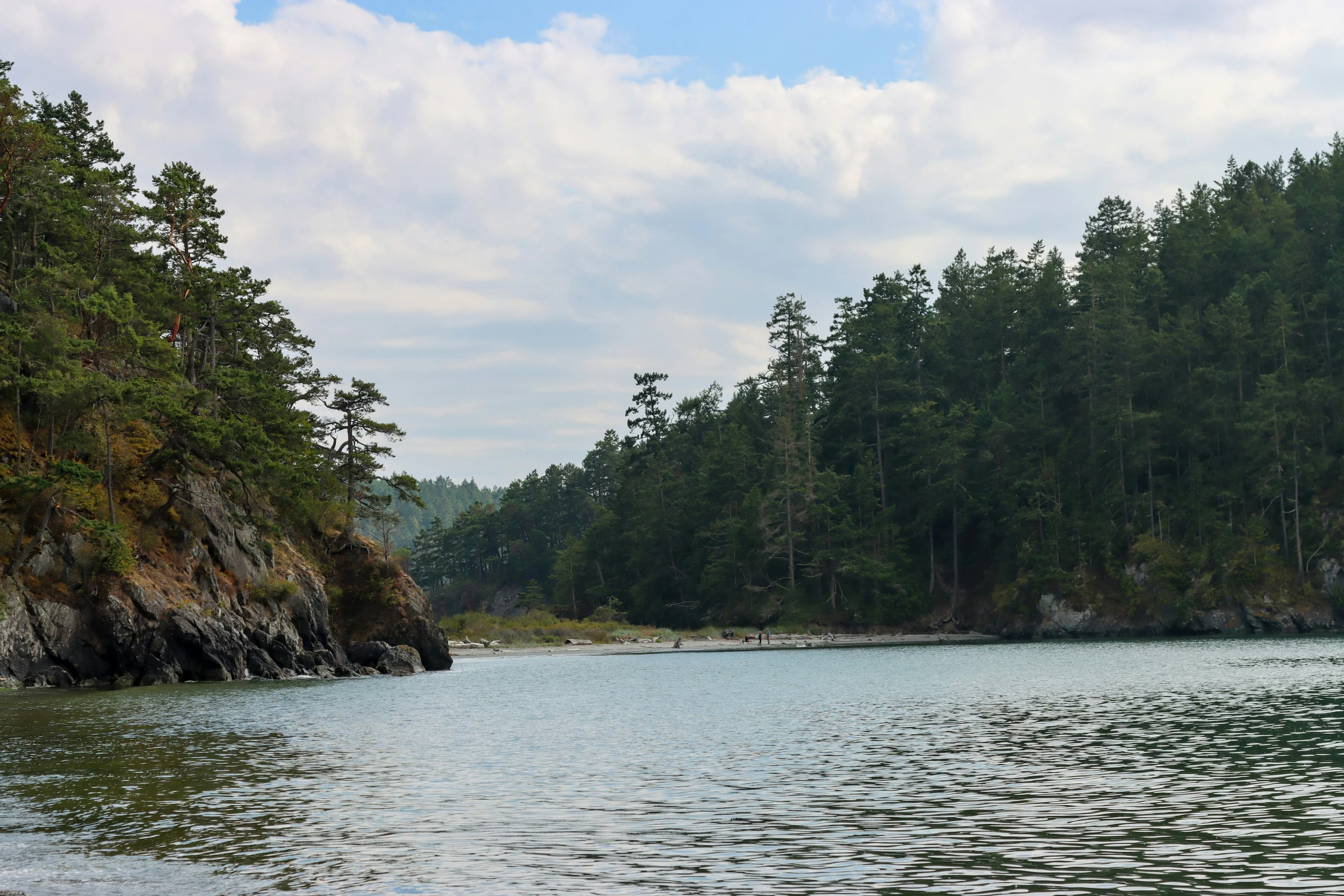 the trees lining the shoreline make for some nice scenery