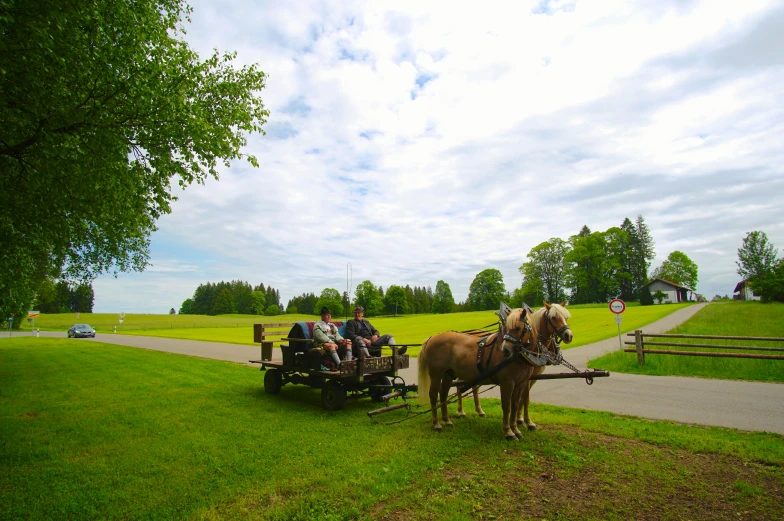 a person is pulling a carriage attached to a horse