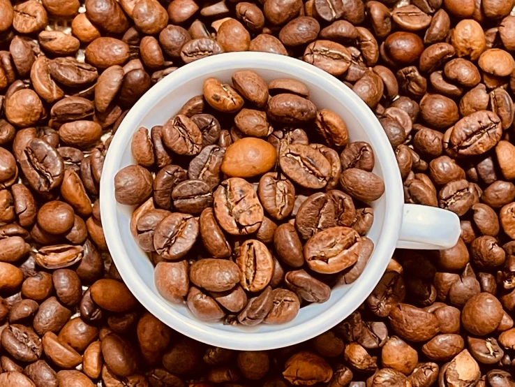 a cup full of coffee beans with beans in the middle