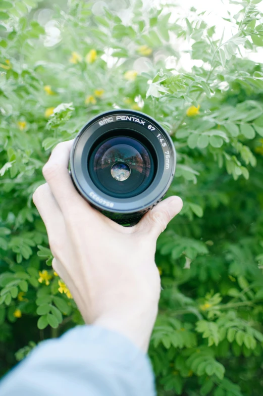 someone is holding a camera with a view in the background