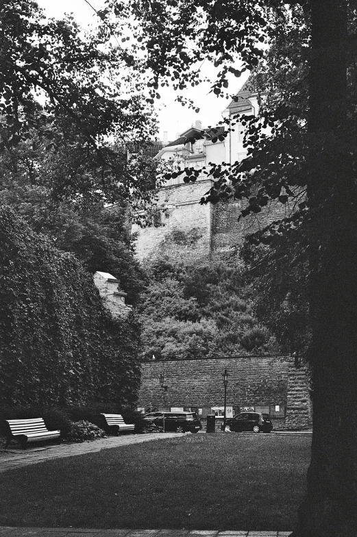 black and white image of a large animal under trees