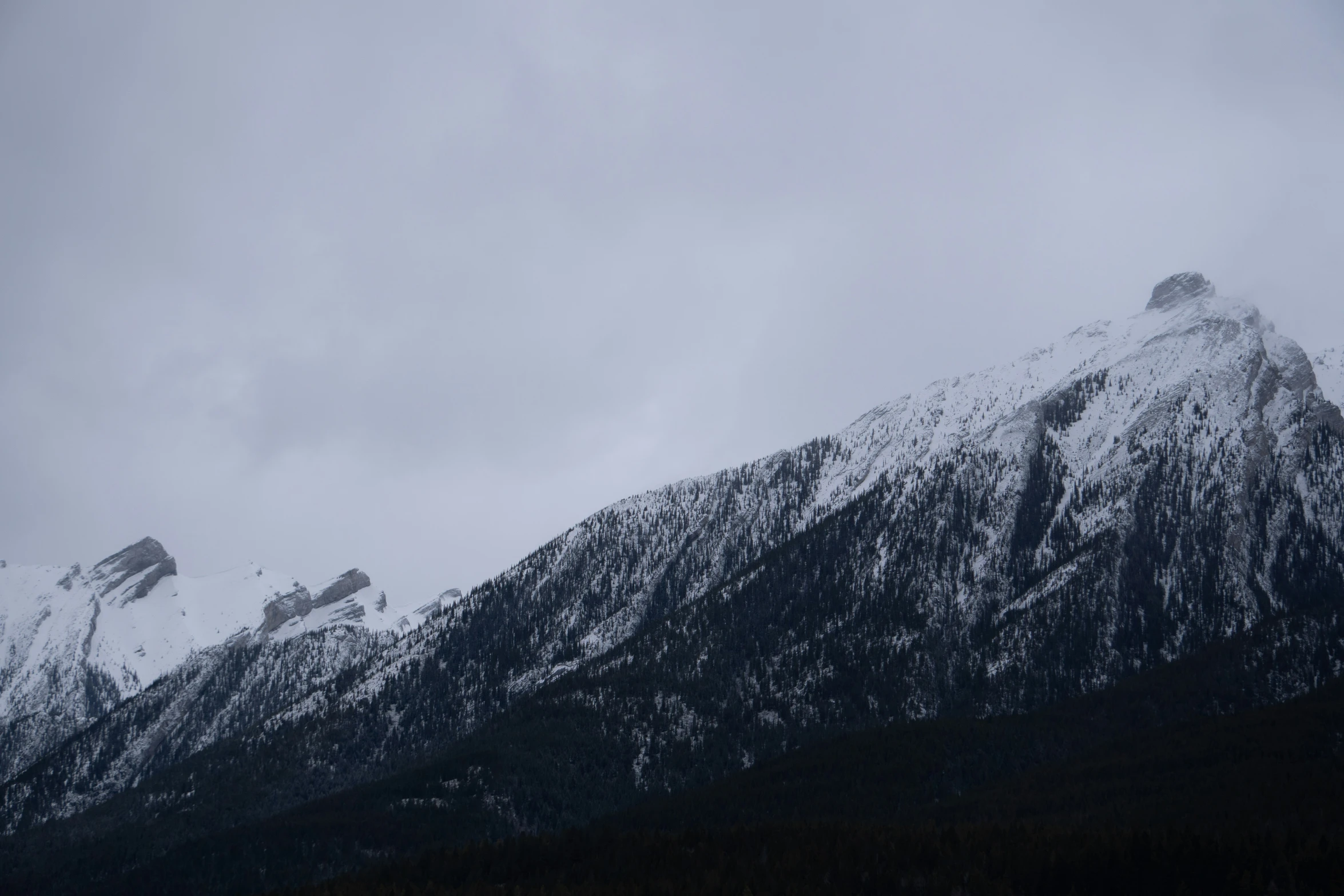 a black and white po of snowy mountains