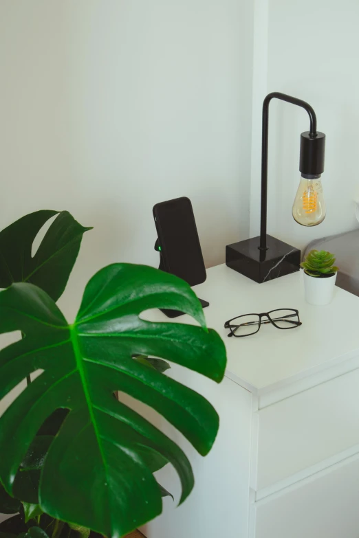 a black lamp and some plants in a room