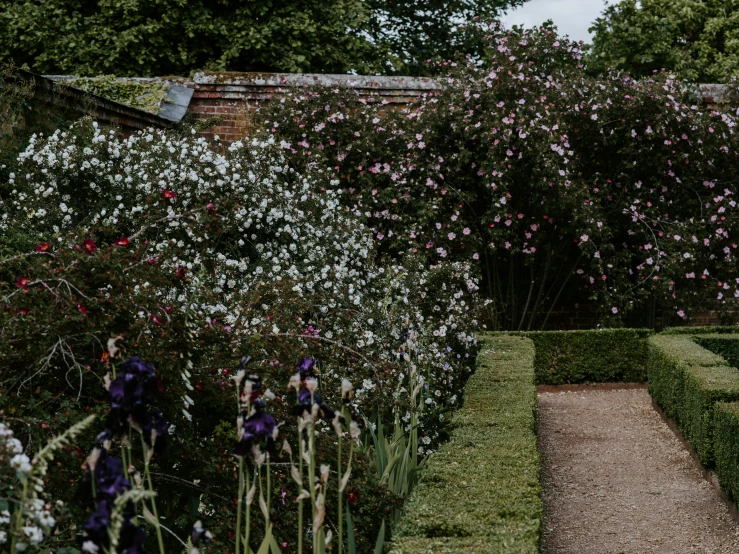 a garden filled with lots of flowers next to a brick wall