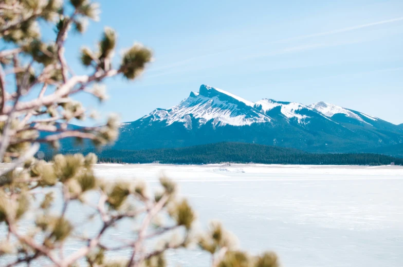 the top of a large snowy mountain is visible