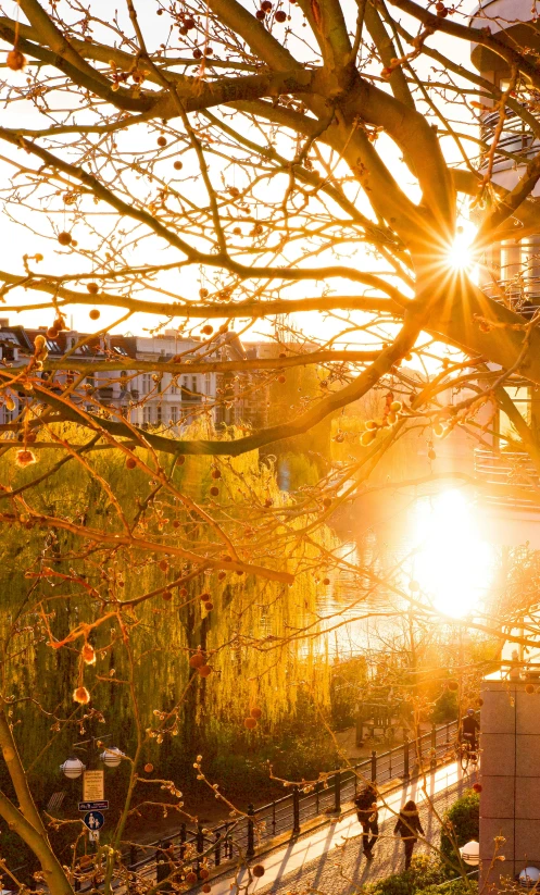 the sun shines bright behind tall buildings in a park