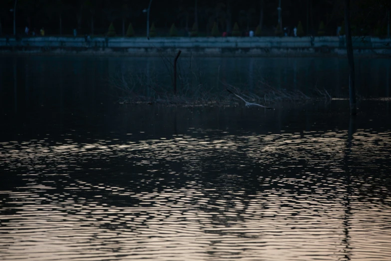 a body of water with water ripples across it