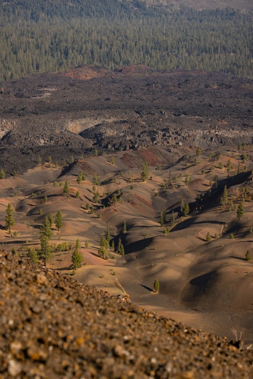 an open field that looks like dirt and brown