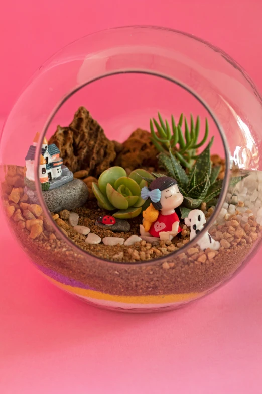 an arrangement of plants and rocks in a clear bowl