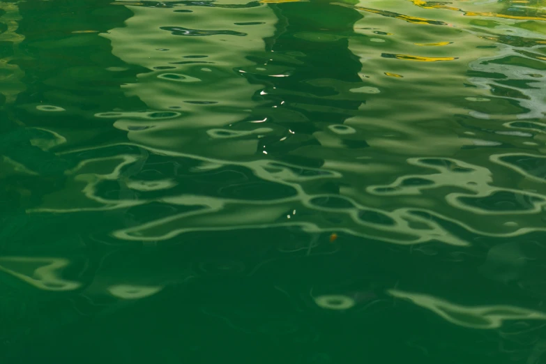 a view of the water and trees from above