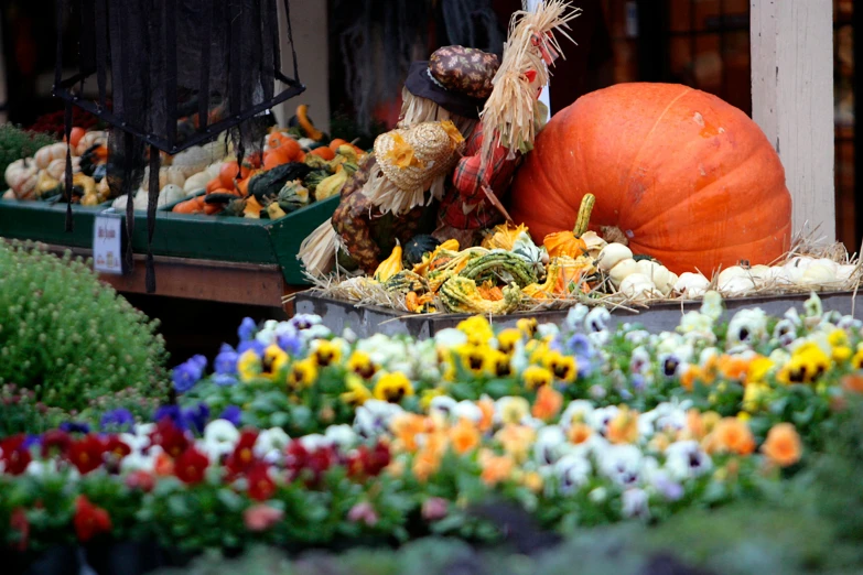 colorful flowers are piled on the side of a store display with a large pumpkin